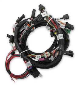 Holley EFI Ford Coyote TI-VCT Engine Main Wiring Harness
